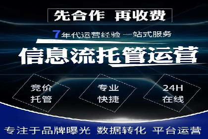 高效SEM托管服务：成功案例深度解析